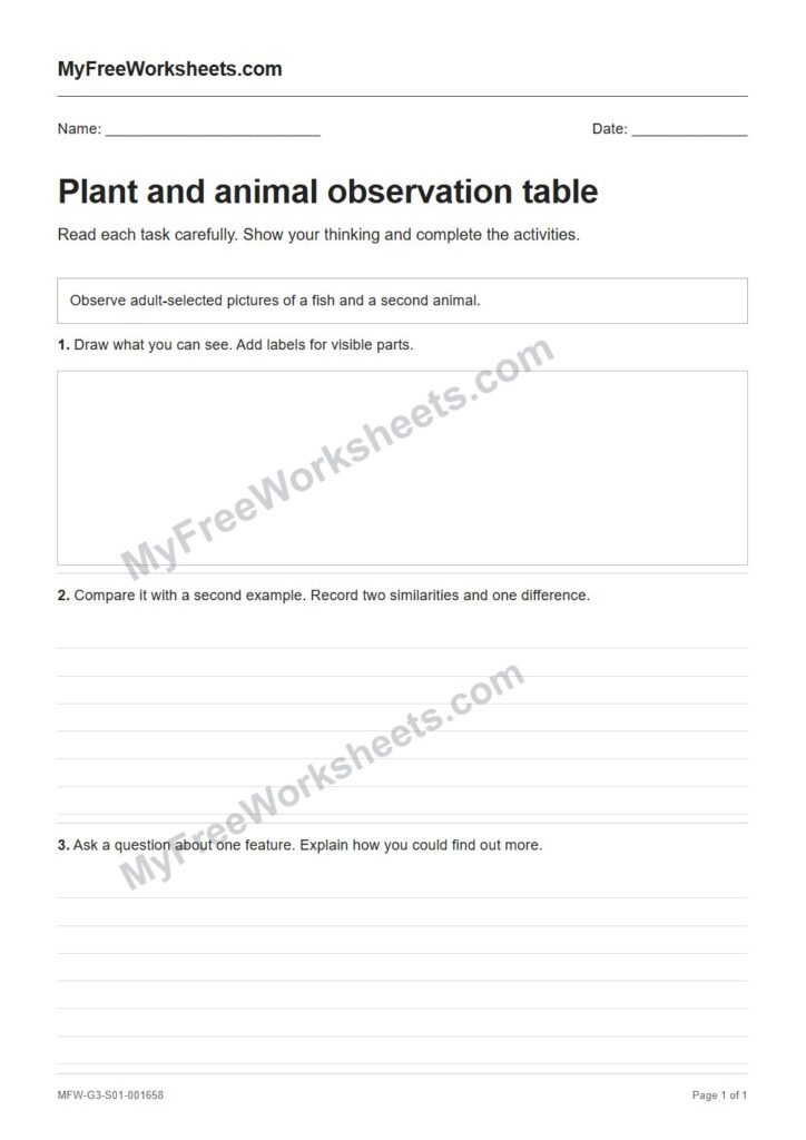 Plant and animal observation table worksheet preview