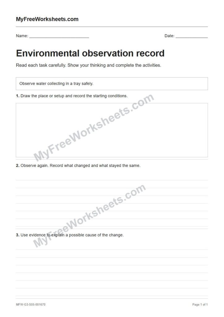 Environmental observation record worksheet preview