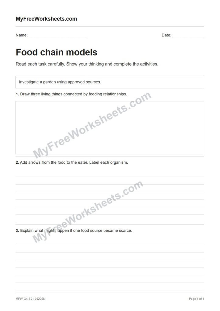 Food chain models worksheet preview