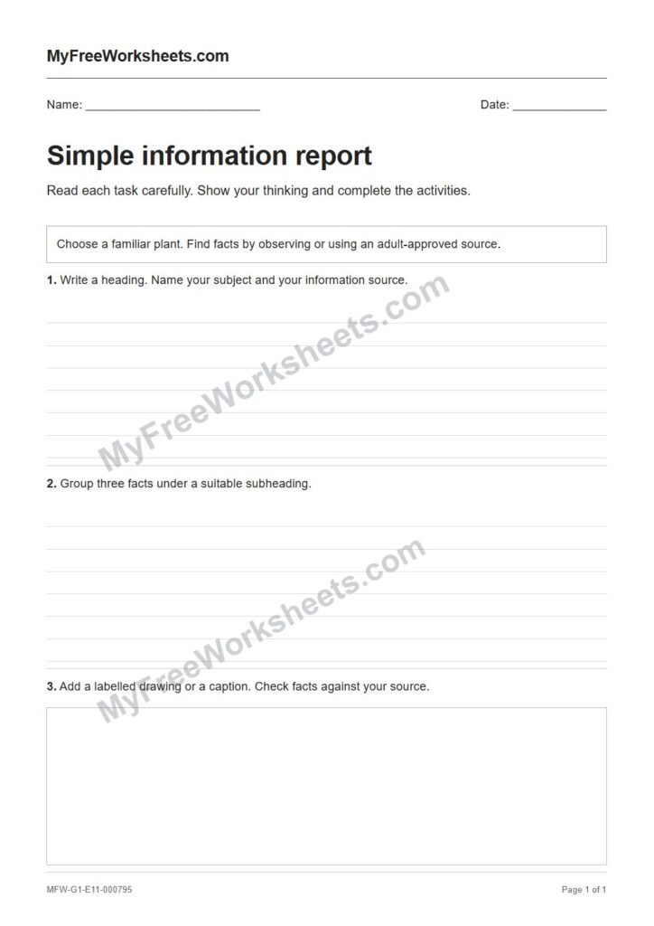 Simple information report worksheet preview