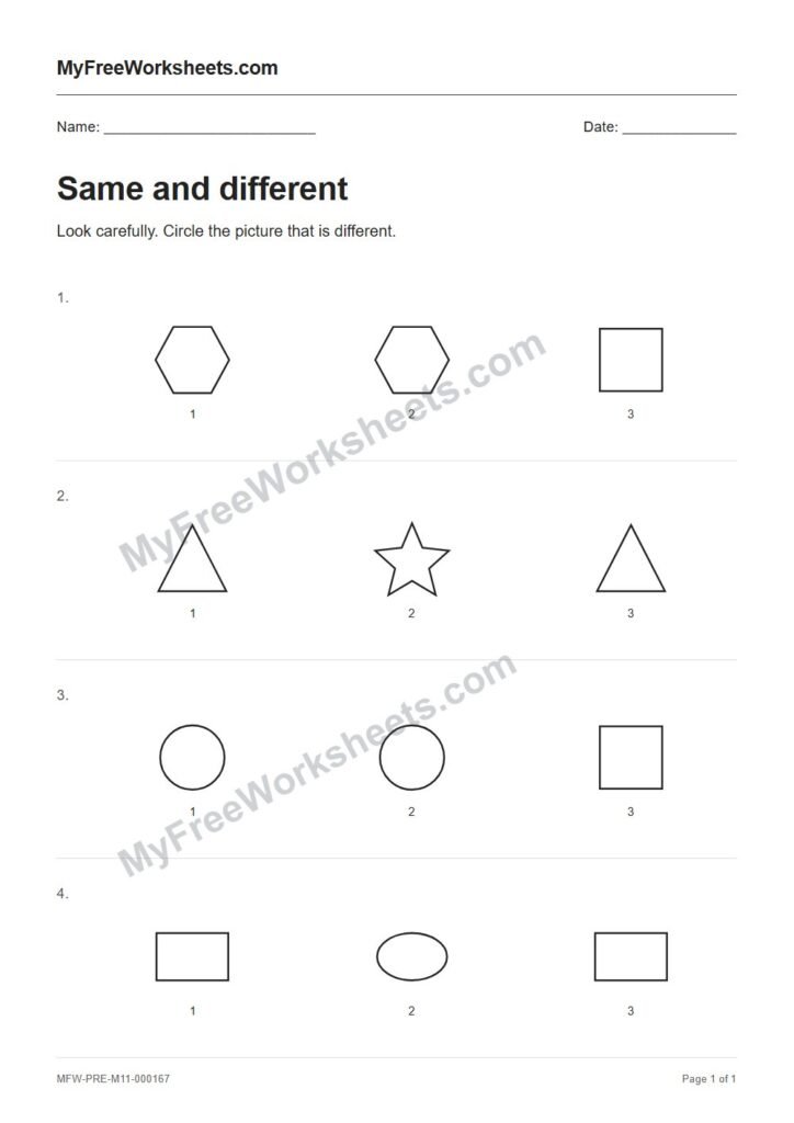 Same and different worksheet preview