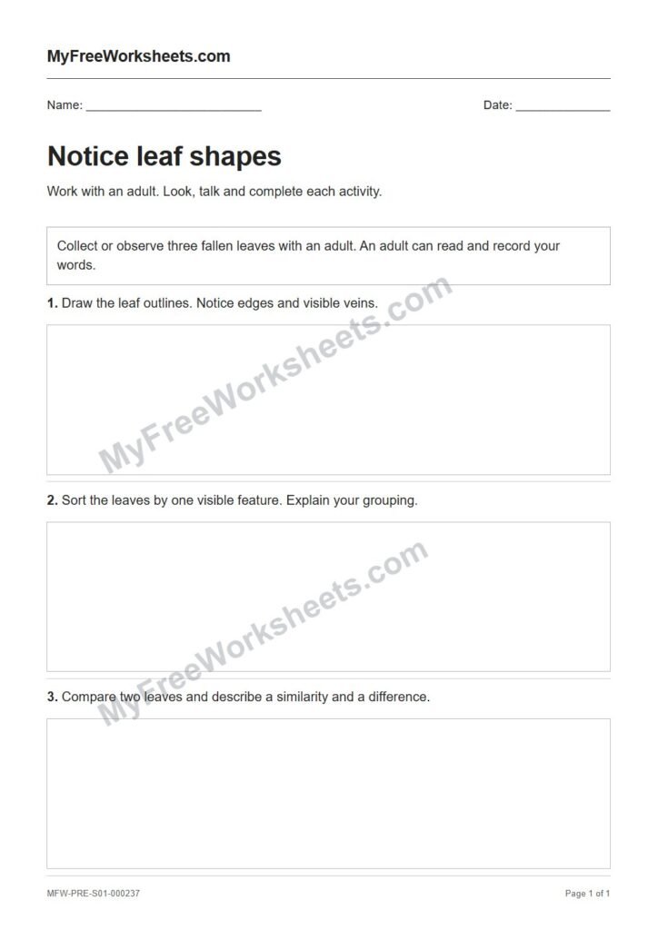 Notice leaf shapes worksheet preview