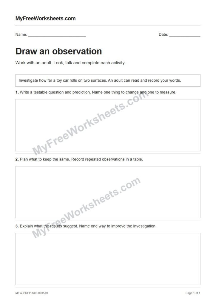 Draw an observation worksheet preview